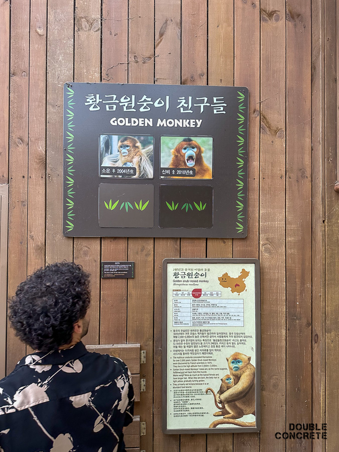 황금원숭이에 대한 설명이 적힌 벽면 안내판. 개체 정보와 중국 지도, 생태 정보가 함께 있다.